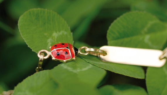 LadyBug